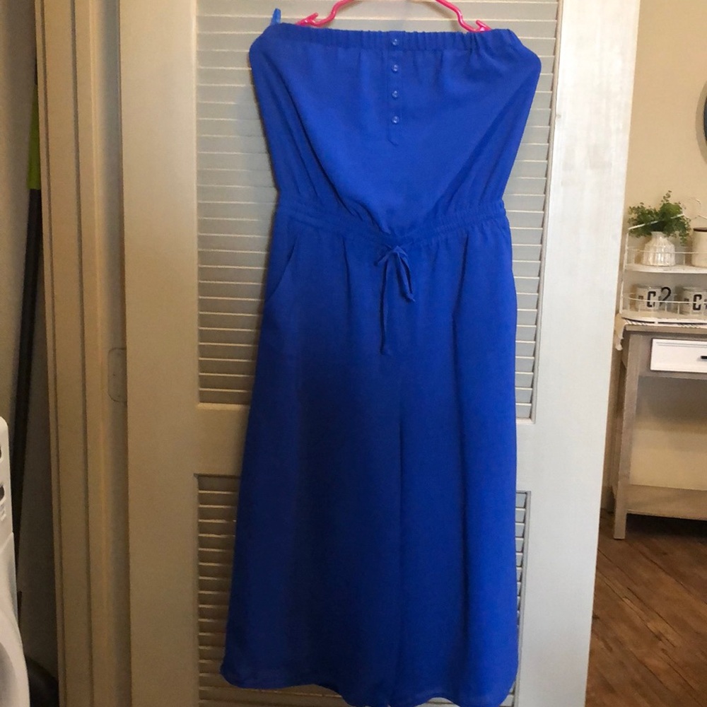 Naked Zebra royal blue jumpsuit